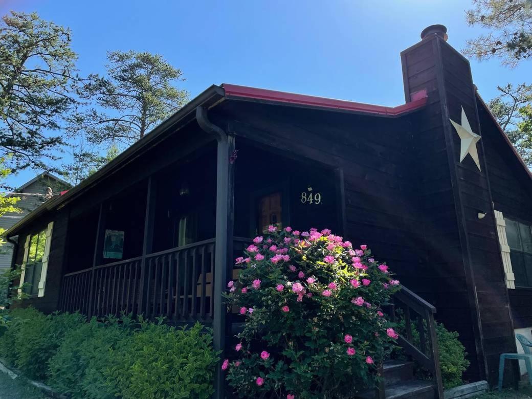 비둘기 포지 Mountaintop Hideaway 빌라 외부 사진